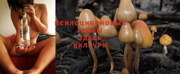 гашиш Арсеньев