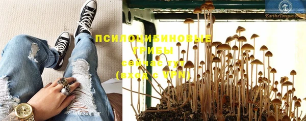 таблы Аркадак