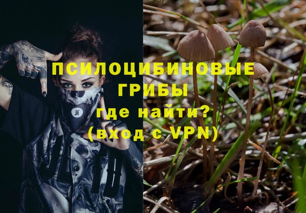 гашиш Арсеньев