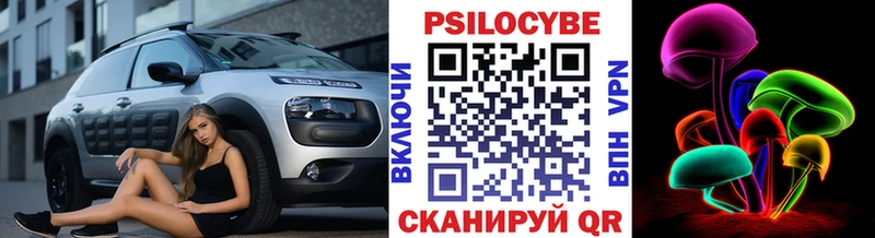 Псилоцибиновые грибы Psilocybine cubensis Рославль